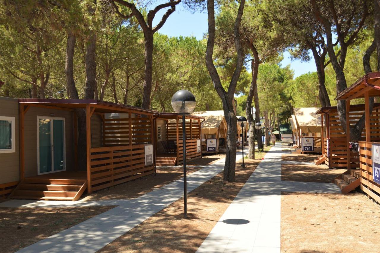 Small Camp Salinello Tortoreto Extérieur photo